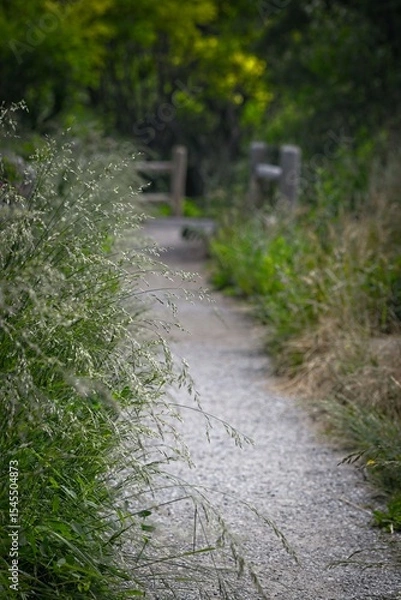 Fototapeta Serene Pathway Through Lush Greenery