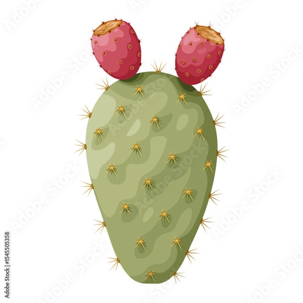 Fototapeta Illustration of cactus or opuntia fruit, also called prickly pear cactus, isolated on white background.prickly pear cactus