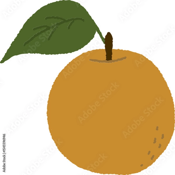 Obraz 손으로 그린 귀여운 과일인 한국 배 일러스트