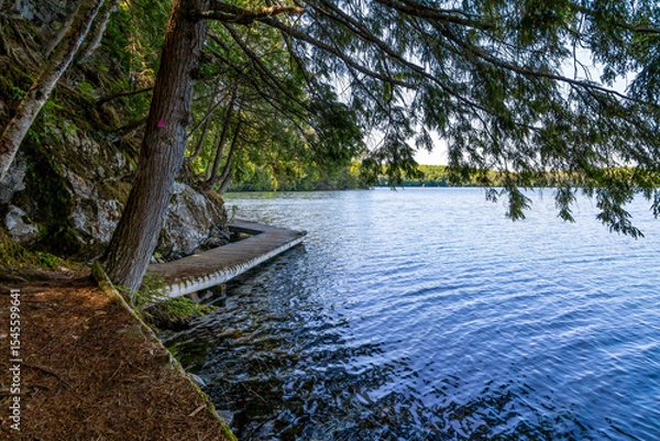 Fototapeta Tranquil view of Solitaire Lake Trail in Huntsville, Ontario, surrounded by lush greenery and calm waters.