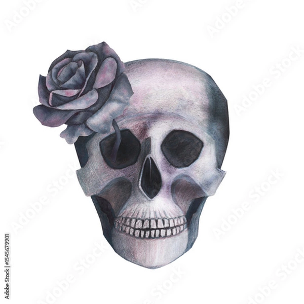 Obraz Scull with roses in the eye gothic magical texture isolated on white background. Watercolor hand drawn esoterics skull illustration. Art for design mystical halloween witch decoration, scary card