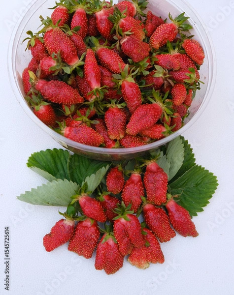 Obraz strawberries