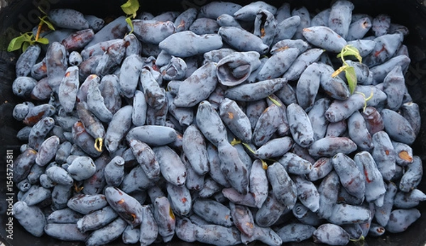 Obraz berries honeysuckle