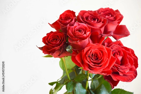 Fototapeta 赤いばら