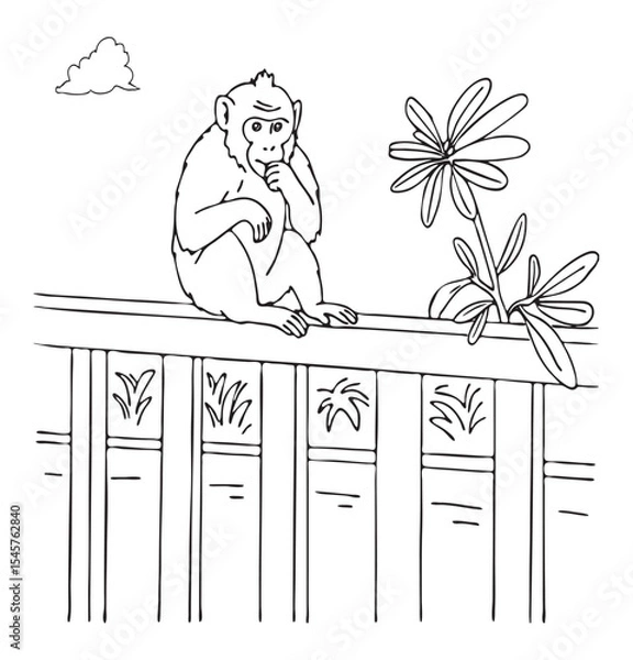 Fototapeta cute monkey monkey sitting on fence vector sketch bali