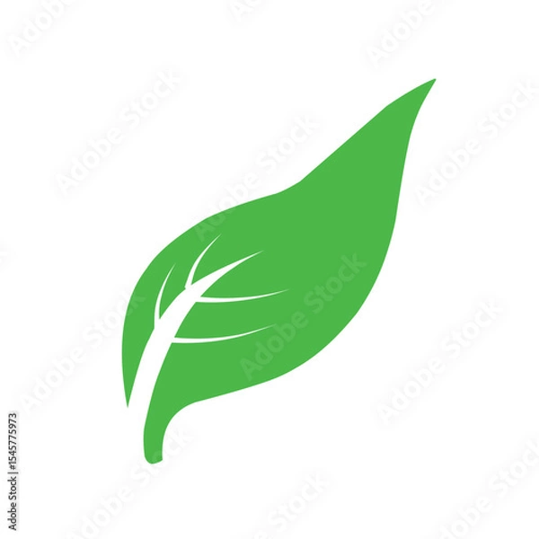 Obraz Natural set of abstract isolated green leaves icons, eco signs and label, plant branches, twigs tea and natural sprigs silhouettes on white background