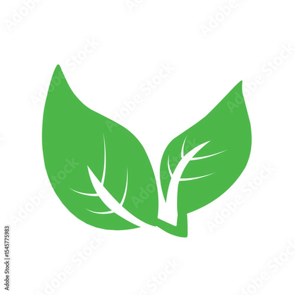 Obraz Natural set of abstract isolated green leaves icons, eco signs and label, plant branches, twigs tea and natural sprigs silhouettes on white background