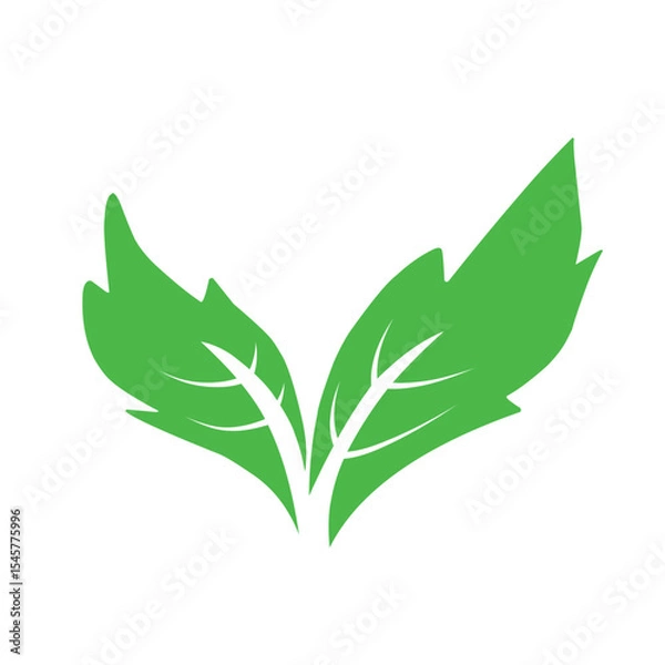 Obraz Natural set of abstract isolated green leaves icons, eco signs and label, plant branches, twigs tea and natural sprigs silhouettes on white background