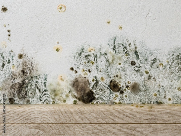 Fototapeta Mould and fungus growth on white wall