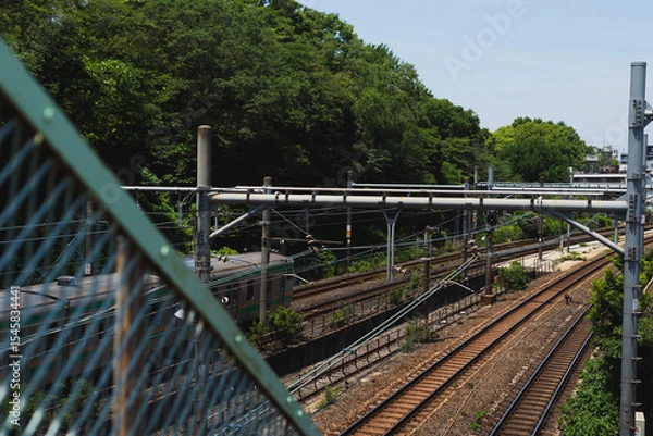 Fototapeta 見下ろす線路