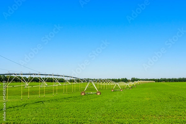 Fototapeta Modern irrigation system at the fertile agricultural field