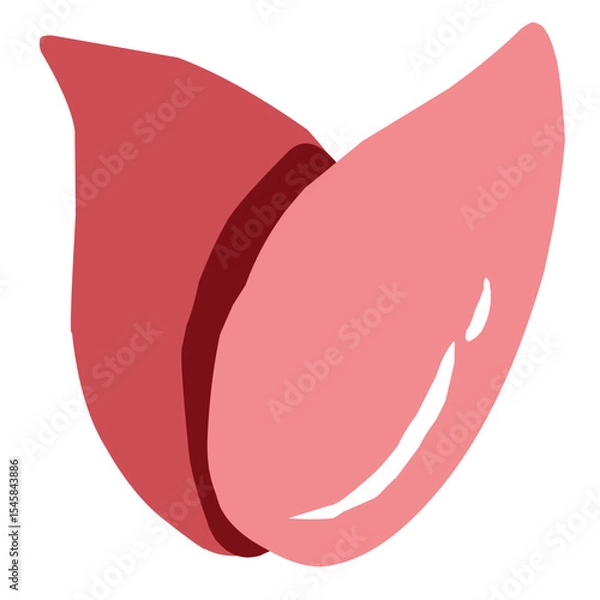 Fototapeta Pink Calla Lily Flower Vector