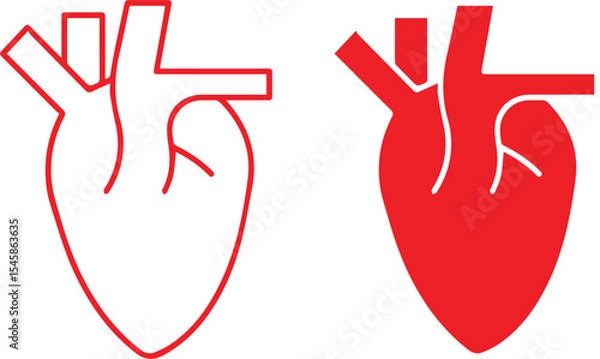 Obraz heart, anatomy, medical, scientific, diagram, illustration, simplified, line art, minimal, red