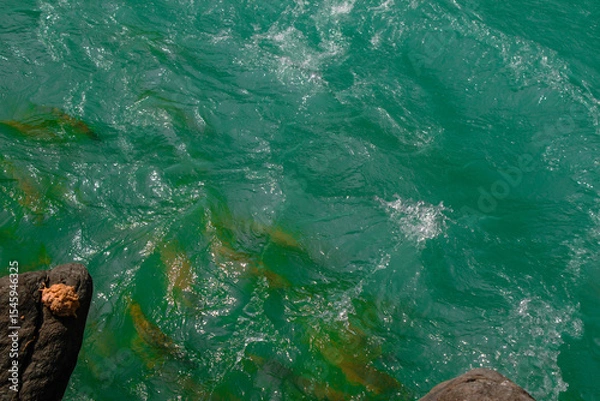 Obraz river in the mountains