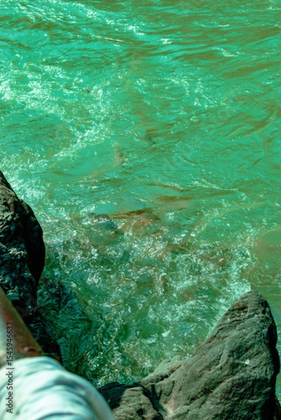 Obraz sea waves and rocks
