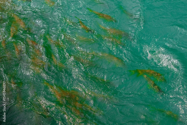 Obraz green and blue paint