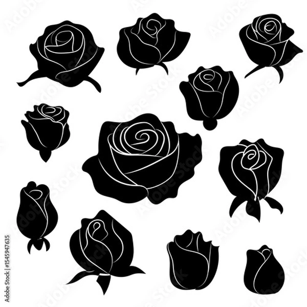 Fototapeta Set of black roses isolated flat vector spring summer flowers blooming stylized bloom
