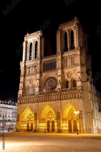 Fototapeta Notre-Dame de Paris