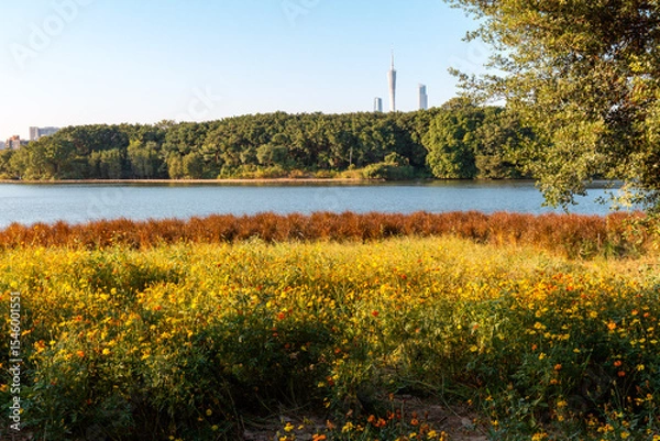 Fototapeta guangzhou skyline at sunset