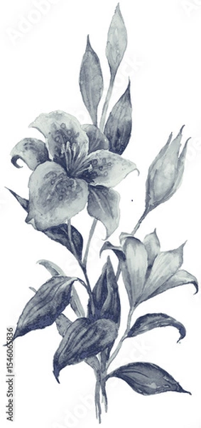Fototapeta Neutral watercolor lilies: Gray-blue monochrome branch with open, half-open blooms and bud. Soft, versatile. Transparent PNG. Perfect for subtle wedding accents, bookplates, or minimalist design