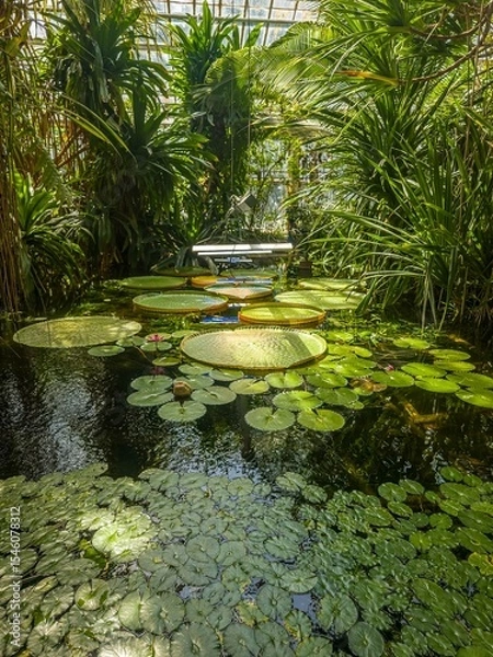 Obraz Leaves of Victoria regia, called "water plates" by the natives, on an artificial pond in the Palm House in Poznań