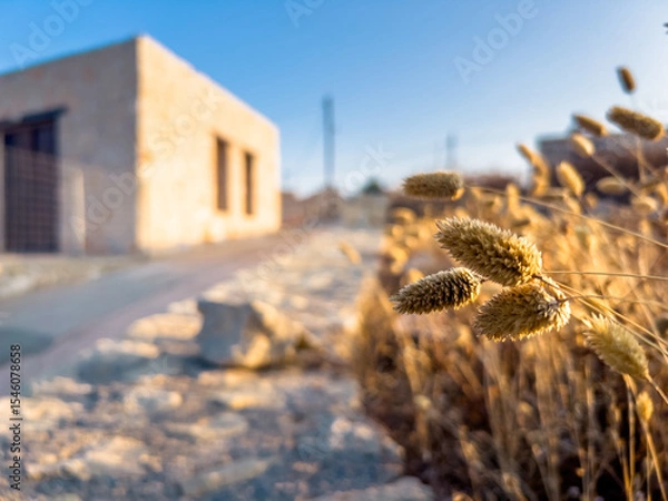 Obraz Countryside of Gavdos island, Crete, Greece.