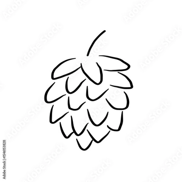 Obraz Malt flower sketch. Hand drawn plant hop vector illustration on isolated white background. Food drink ingredient. Cereal harvest, agriculture, organic farming. Design for print, label, card, sign logo
