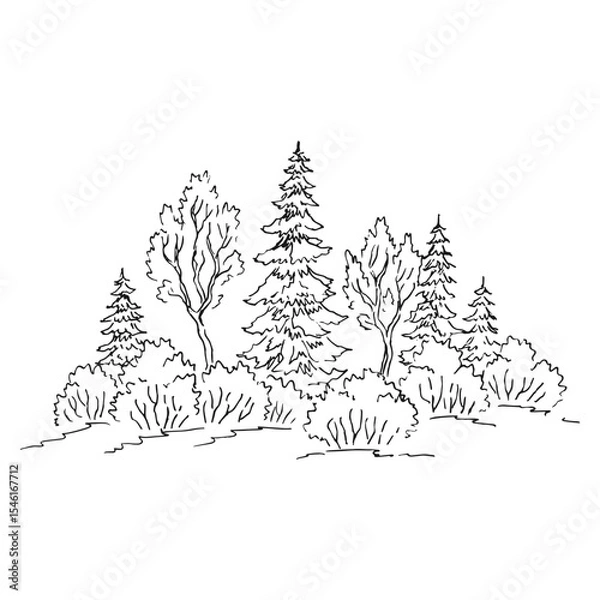 Obraz Nature landscape with forest. Hand drawn vector illustration.