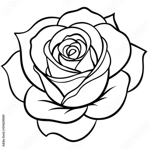 Fototapeta Single Bloom Rose Outline