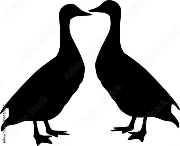 Obraz background ilustration two duck 
