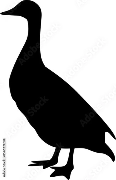 Obraz background ilustration Lesser Wishtling Duck