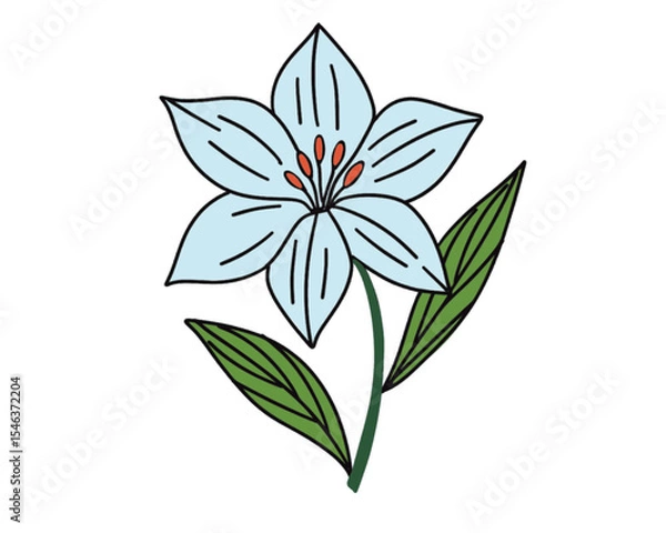 Obraz VECTORS White flower