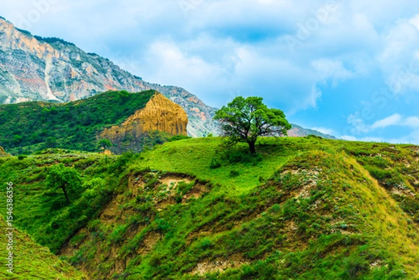 Obraz Picturesque mountain landscape with a lonely beautiful tree on the top. Dagestan, Caucasus