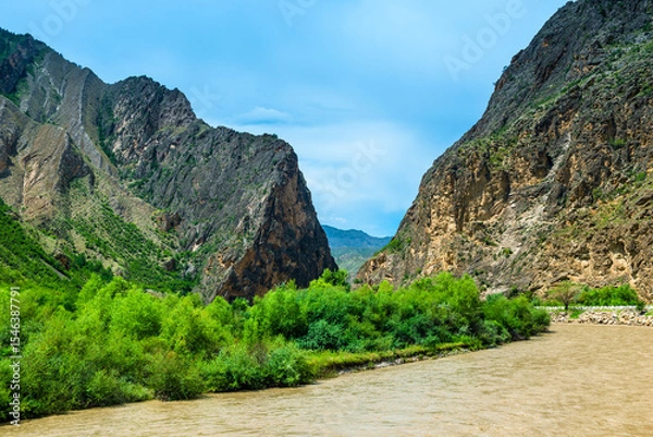 Obraz Picturesque landscape with a full-flowing stormy mountain river in the mountains of the North Caucasus, Dagestan. Russia