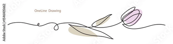 Obraz Abstract one line drawing. Decorative horizontal ornament with pink tulip and leaf. Beautiful blossoming hand drawn flower on white. Line art for frame design. Vector stock illustration.