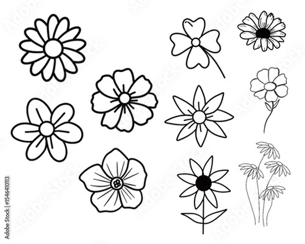 Obraz flower vector