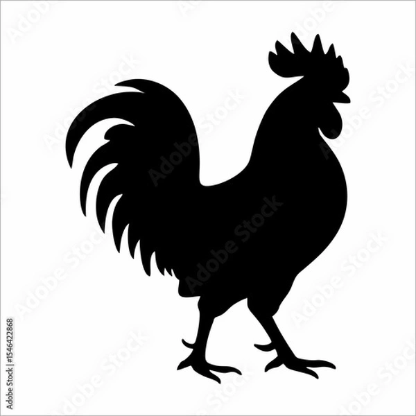 Obraz silhouette of a rooster