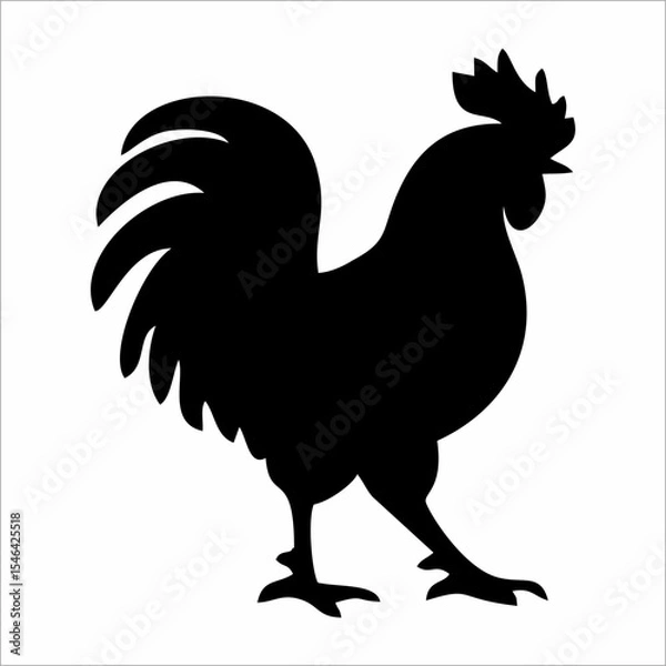 Obraz silhouette of a rooster