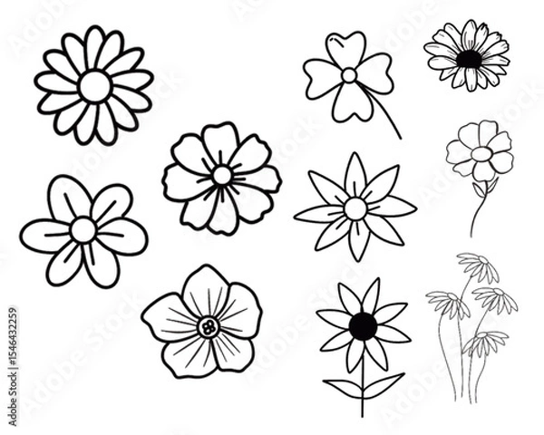 Obraz flower vector