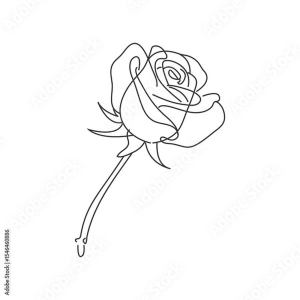 Fototapeta Rose flower line vector illustration, isolated on white background, top view rose flower line hand drawing, sketching flower for coloring book..