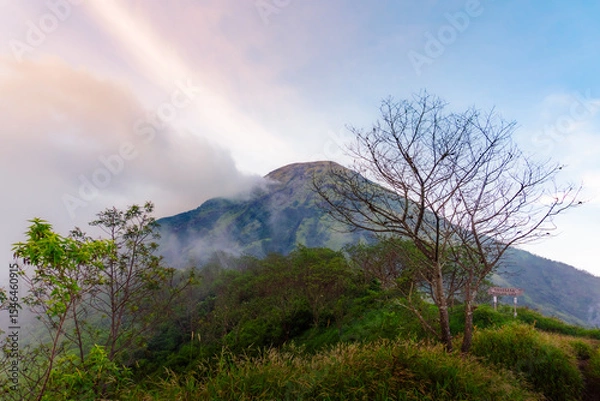 Obraz rainbow in the mountains