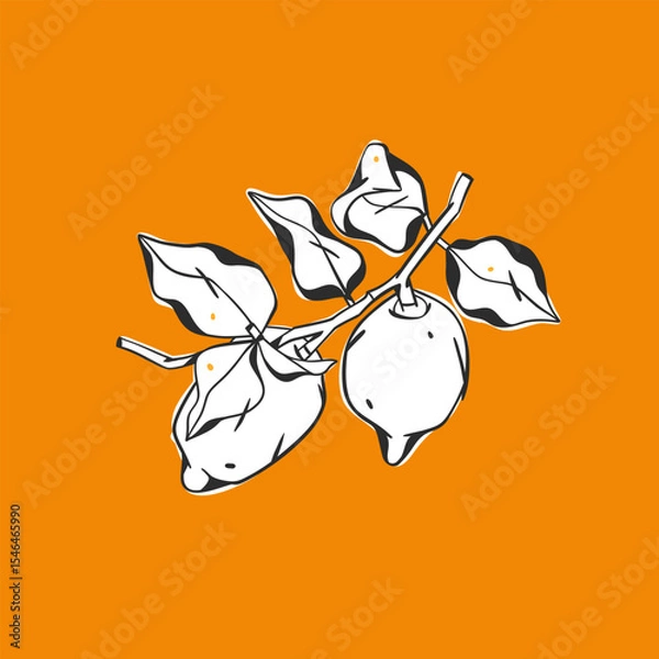 Fototapeta Hand drawn abstract vector graphic illustration collection with stylized lemon branch fruit in cartoon drawing style.Trendy modern juicy fruit design concept.Vector line fruit symbol icon.