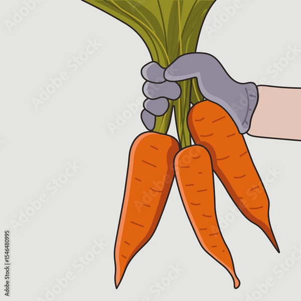 Fototapeta An image of a carrot being held in a hand.