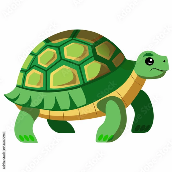 Fototapeta turtle