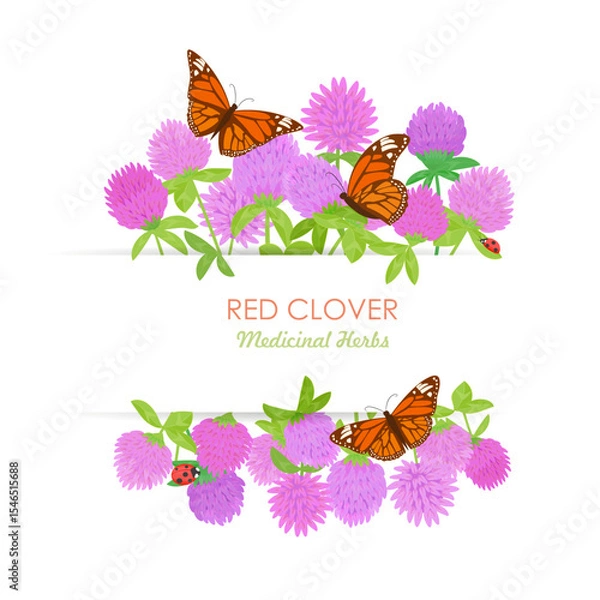 Fototapeta banner with blooming Trifolium pratense with butterflies. frame of red clover wildflowers with ladybirds. card with medicinal herbal flower