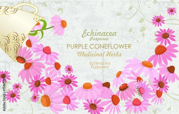 Fototapeta banner with blooming Echinacea  flowers pouring from a cup. card with coneflower wildflowers flowing from a mug of golden pattern. medicinal herbal Echinacea angustifolia on grungy grey background