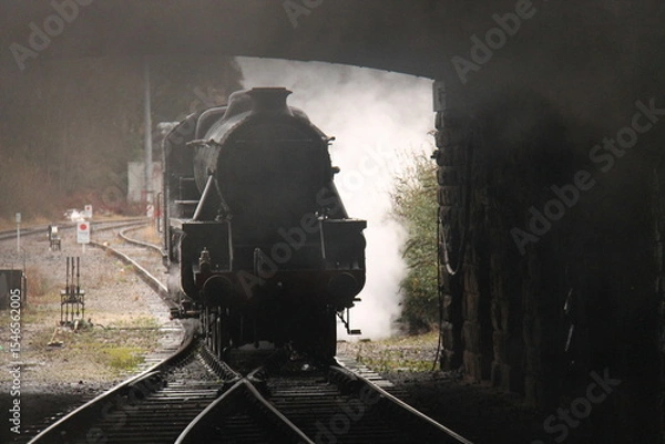 Obraz A Powerful Steam Train Engine Entering a Dark Tunnel.