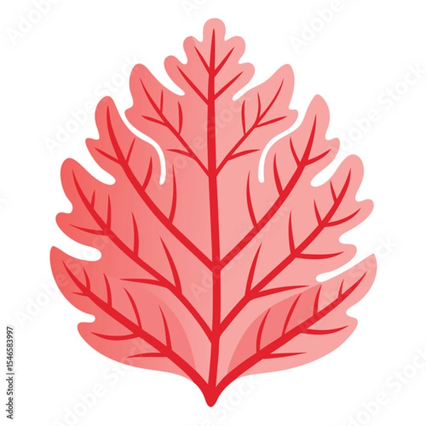 Obraz coral-leaf-isolated-on-white-background
