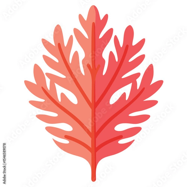 Obraz coral-leaf-isolated-on-white-background