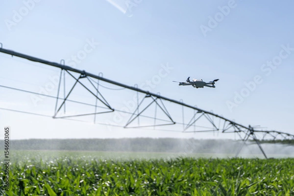 Fototapeta Drone controls pivot irrigation system on an agricultural field